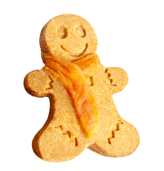 Gingerbread Biscuits With Chicken