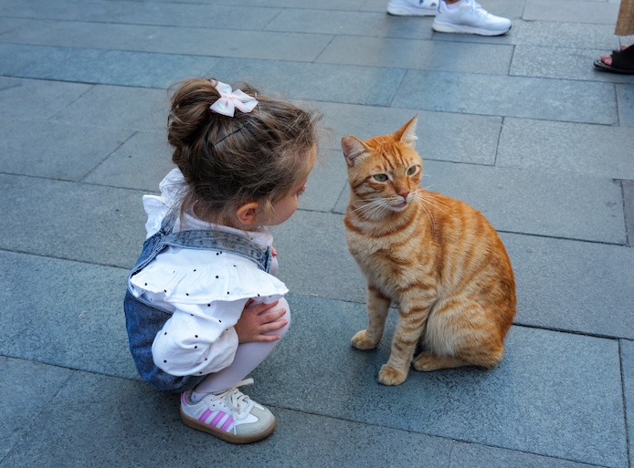 Our Story — Wanpy’s History, Mission & Commitment to Pets