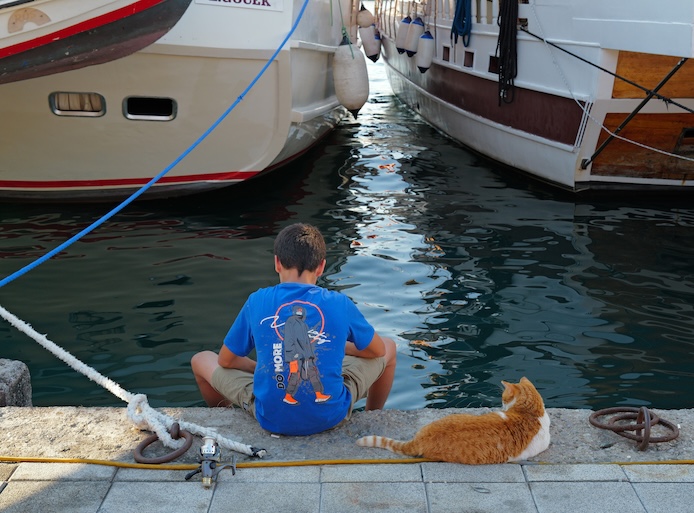 Our Story — Wanpy’s History, Mission & Commitment to Pets