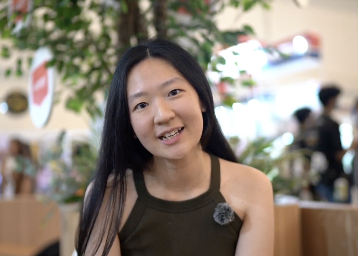 Grain-Free Complete Food for Adult Dog Beef Recipe | Wanpy