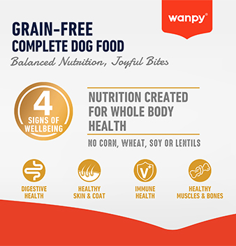 dry food- benifit for dog.jpg 拷贝.jpg