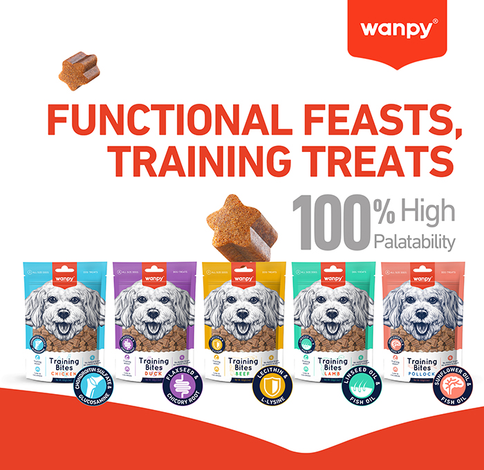 TRAINING BITES-Functional Feasts.jpg