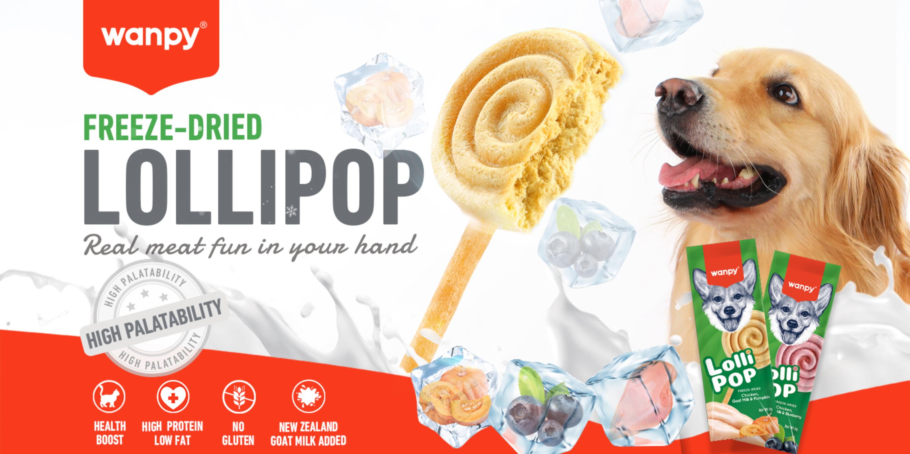 Freeze-Dried Pumpkin Lollipops for Dogs | Wanpy