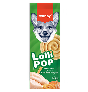 lollipop-dog pumpkin.jpg