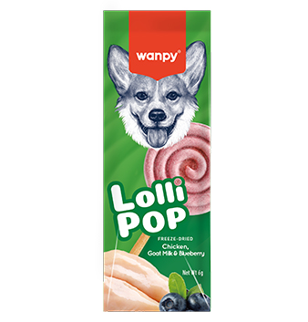 lollipop-dog blueberry.jpg