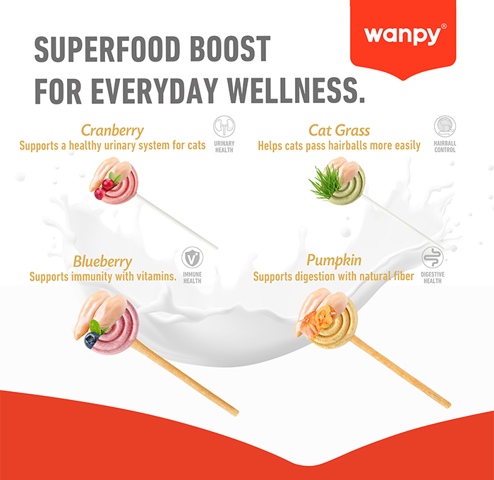 棒棒糖-4.超级食物，健康促进 拷贝.jpg