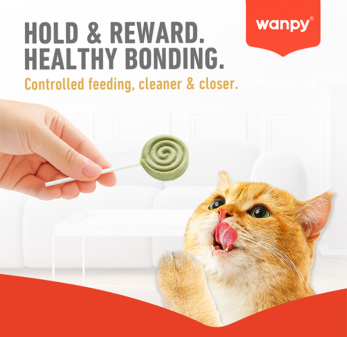 棒棒糖-1.手持喂养，人宠互动小图猫 拷贝.jpg