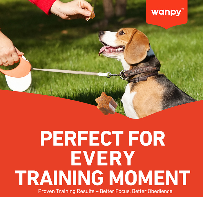 TRAINING BITES-Every Training Moment.jpg