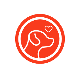 Complete Paste Canned Food Lamb for Dogs | Wanpy