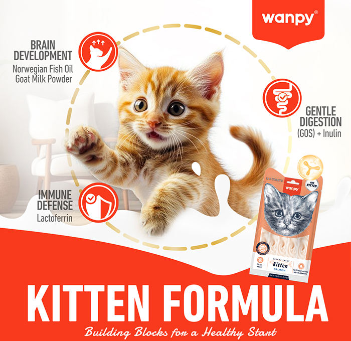 4-kitten formula.jpg