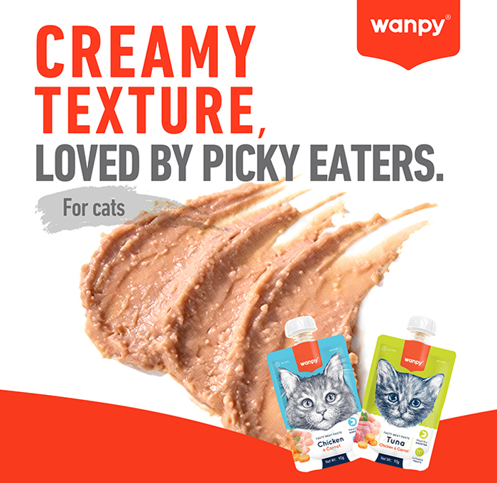 2-creamy texture for cat.jpg
