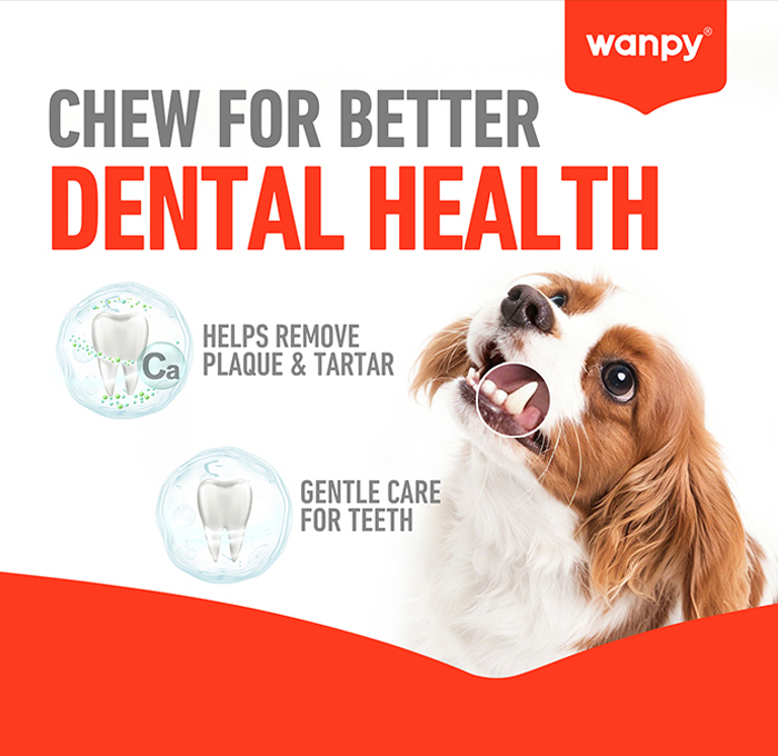 4-CHEW FOR BETTER DENTAL HEALTH.jpg