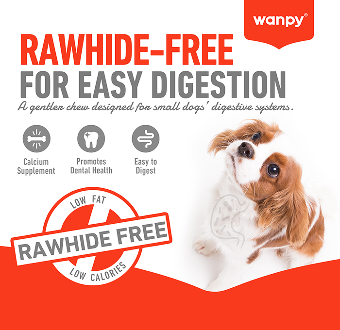 5-RAWHIDE-FREE.jpg