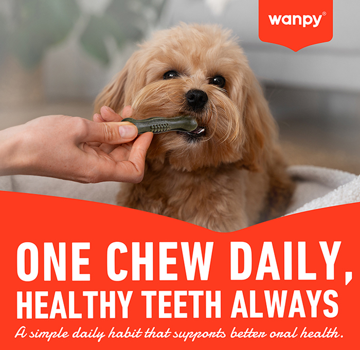 2-One chew daily.jpg