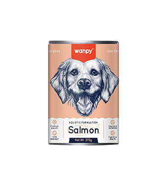 WANPY MEAT LOAF SALMON 375G