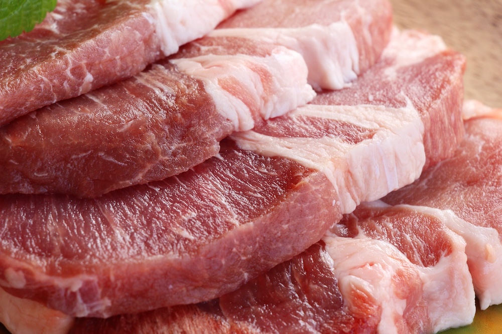 Pork Meat Loaf for Dogs | Wanpy