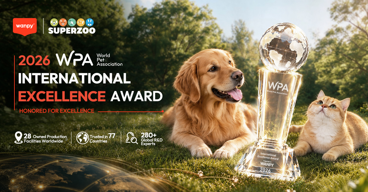 WANPY® Honored with the 2026 WPA International Excellence Award