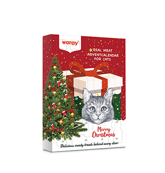 Christmas Advent Calendar For Cat
