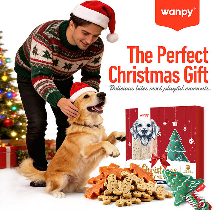 gift-3.jpg